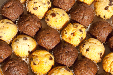 Close-up Chocolate Chip Muffins in Alternating Rows