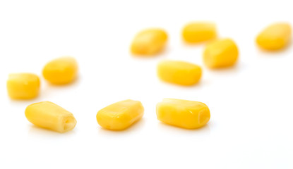corn on a white background. macro