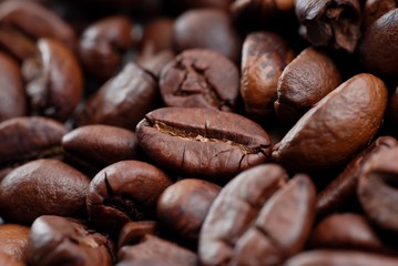 Close Up Coffee Bean