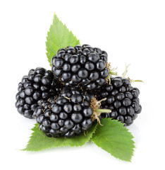 Ripe blackberry fruits