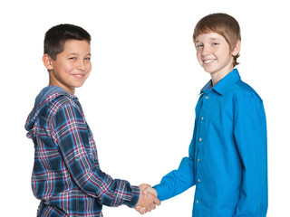 Handshake of two cheerful boys