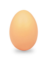 egg