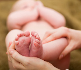 Baby foots in mother hands