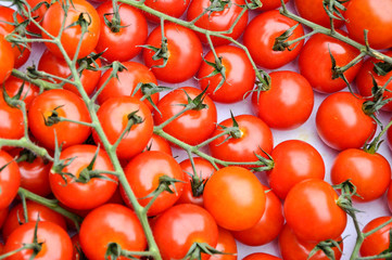 tomaten