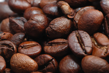 Coffee Bean