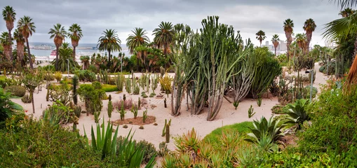 Panoramablick auf den Cactus Park am Montjuic-Hügel in Barcelona © Pablo Debat