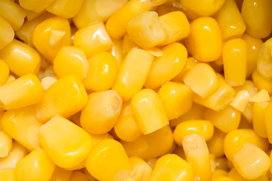 Background of corn. macro