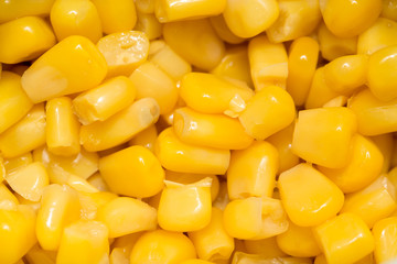 Background of corn. macro