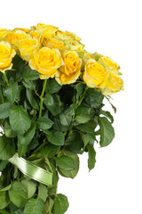Group of fresh yellow roses