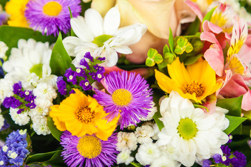 spring flowers background on white background