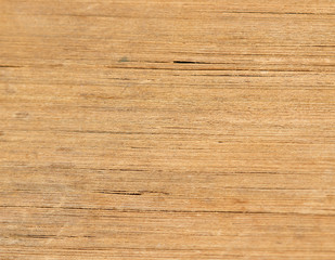 background of the book's pages. macro