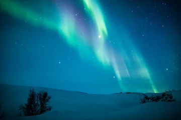 Foto op Plexiglas Noorderlicht (Aurora borealis) boven sneeuw © jamenpercy