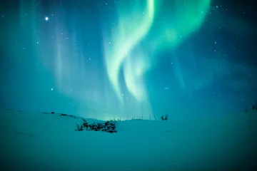 Wall murals Northern Lights Northern lights (Aurora borealis) above snow