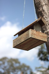 Bird Feeder