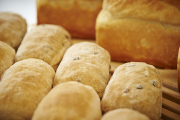 Bread