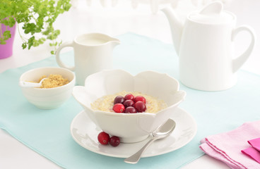 Shredded wheat cereal with cranberries