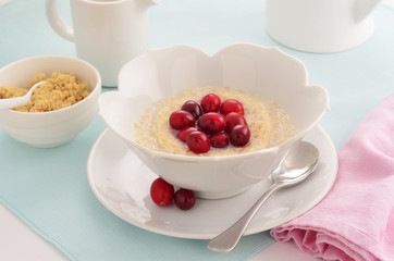Shredded wheat cereal with cranberries