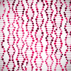 beautiful structure of the DNA molecule