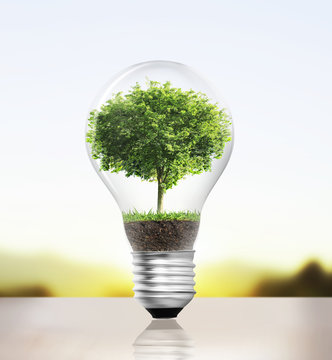 light bulb Alternative energy concept