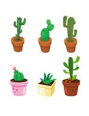 set of cactus