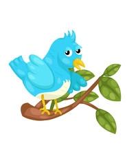 little bird on branch