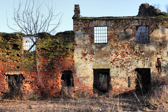 old farm ruin