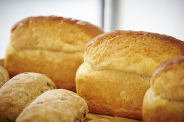 Bread