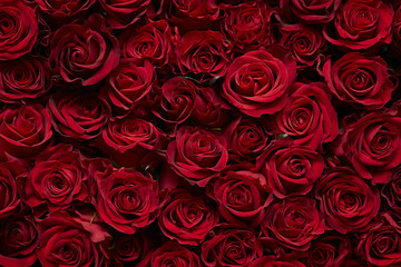 roses