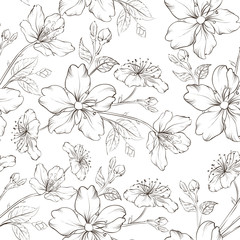 Cherry blossom seamless pattern.