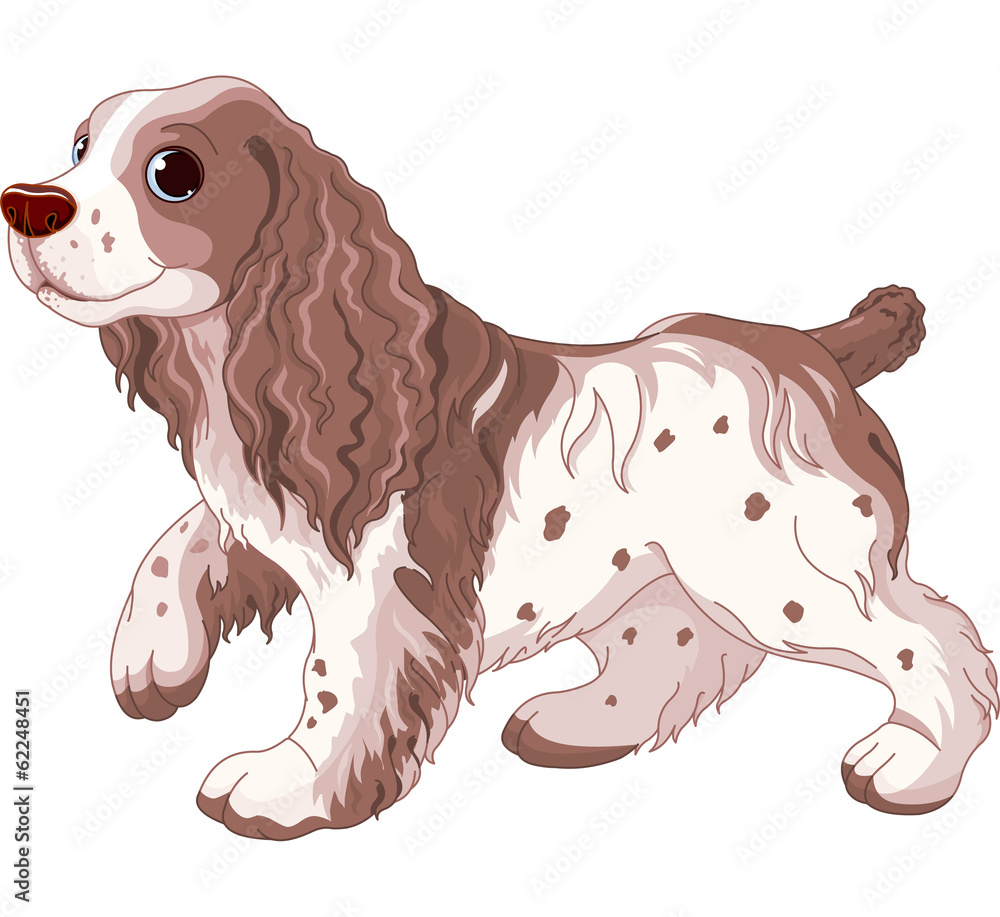 Wall mural spaniel dog