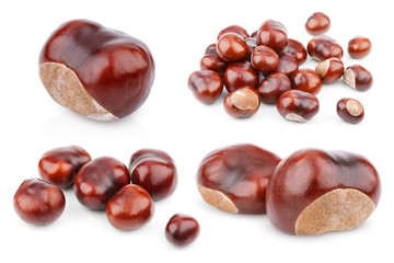 Set of chestnuts isolated on white background