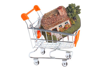 Model of house in the shopping cart isolated on white