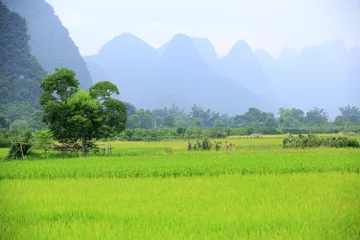 Fotobehang landscape in guilin scenery © lzf