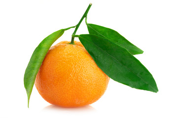Fresh tangerine