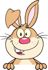Brown Rabbit Cartoon Mascot Character Over Blank Sign