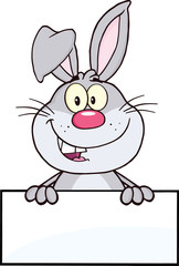 Cute Gray Rabbit Cartoon Mascot Character Over Blank Sign