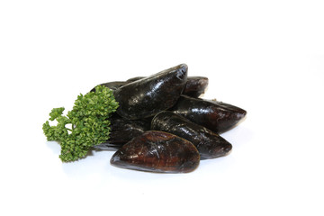 moules