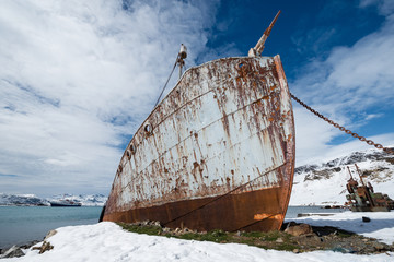 Abandoned whaling ship in antarctica. - obrazy, fototapety, plakaty