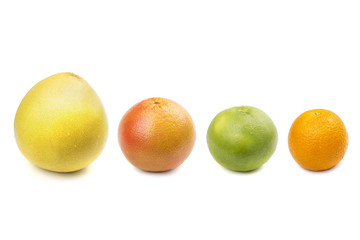 Pomelo, grapefruit, sweetie, orange