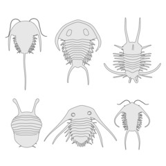cartoon image of trilobite animals