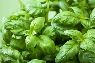 fresh basil leaves