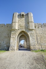 Fototapeta na wymiar Medieval door, Aigues Mortes, southern France.