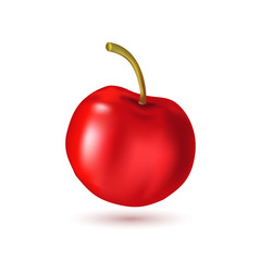 Cherry on white background. Vector illustration