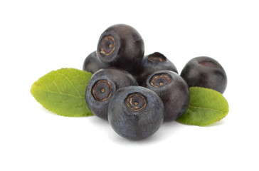 Fresh blueberries isolated on white background
