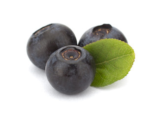 Fresh blueberries isolated on white background
