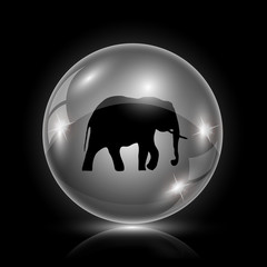 Elephant icon