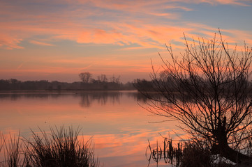 Naklejka premium Foggy sunrise a a small pond.
