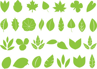 Large collection of green leafs illustrated on white