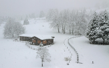 wooden mountain chalet all blanched during a snowstorm