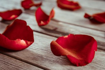 Close-up image of red rose petals